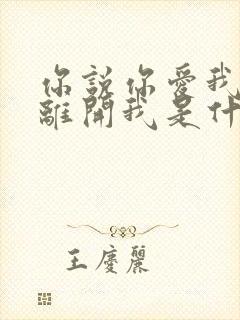 你说你爱我却又离开我是什么歌