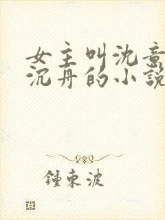 女主叫沈意欢陆沉舟的小说