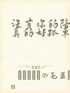 没有你的陪伴我真的好孤单歌词歌曲