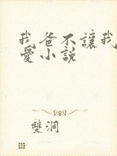 我爸不让我谈恋爱小说