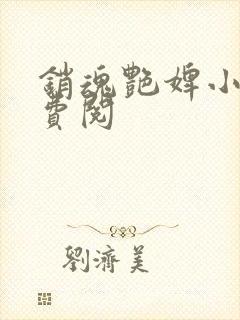 销魂艳婢小说免费阅