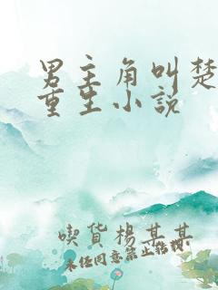 男主角叫楚云的重生小说