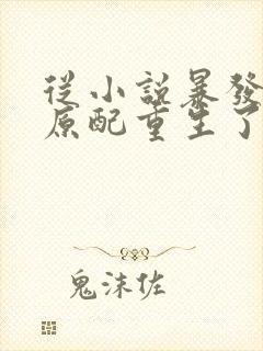 从小说暴发户的原配重生了免费阅读