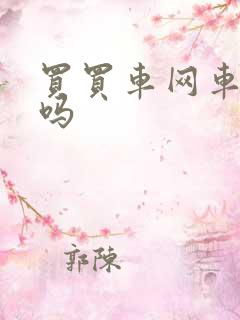 买买车网车便宜吗