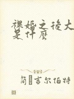 裸婚之后大结局是什么