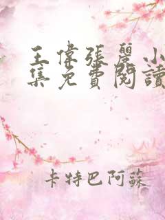 王伟张丽小说全集免费阅读