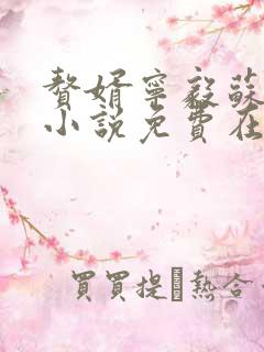 赘婿宁毅苏檀儿小说免费在线阅读完整版