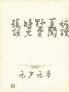 张时野夏婉央小说免费阅读笔趣阁