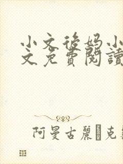 小文后妈小说全文免费阅读最新章节