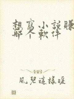 想写小说赚钱去哪个软件