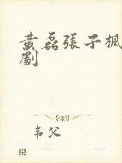 黄磊张子枫电视剧