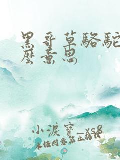 黑哥草骆驼是什么意思