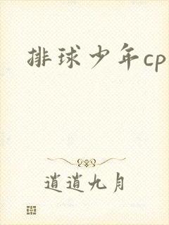排球少年cp文