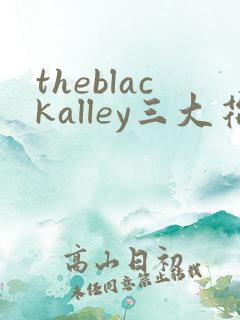 theblackalley三大花原著小说