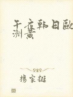 午夜韩日欧美亚洲黄