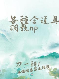 各种含道具高h调教np