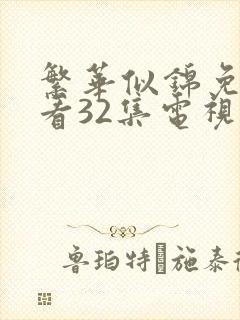 繁华似锦免费观看32集电视剧京广航