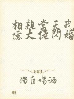 相亲当天我和千亿大佬闪婚了