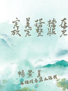 完美搭档在线播放完整版免费