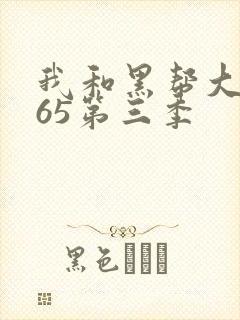 我和黑帮大佬365第三季