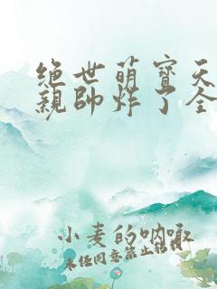 绝世萌宝天才娘亲帅炸了全文阅读