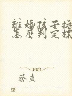 离婚孩子抚养权怎么判定标准