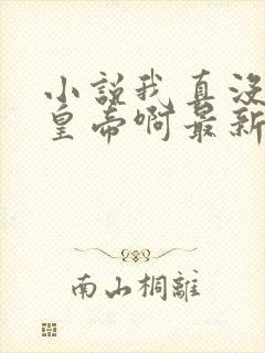 小说我真没想当皇帝啊最新章节