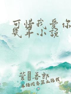 可惜我爱你的那几年小说