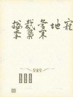 总裁爹地宠上天季枭寒