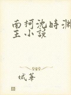 南柯沈时渊双男主小说