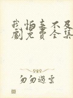 我怕来不及电视剧免费全集