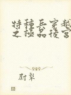 特种兵穿越雍正之极品后宫