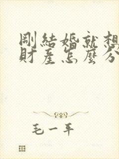 刚结婚就想离婚财产怎么分配