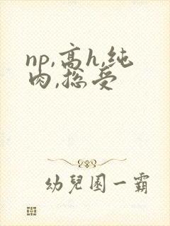 np,高h,纯肉,总受