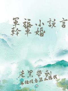 军旅小说言情高干军婚