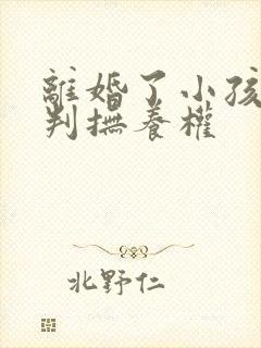 离婚了小孩怎么判抚养权