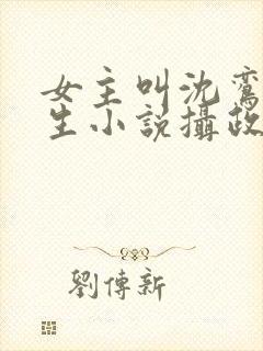 女主叫沈鸾的重生小说摄政王