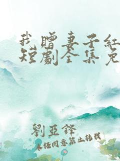 我赠妻子红缨枪短剧全集免费播放