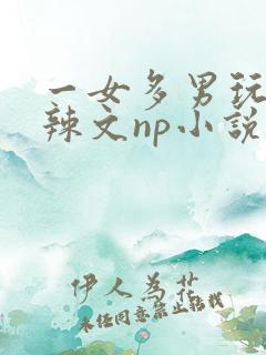 一女多男玩弄h辣文np小说