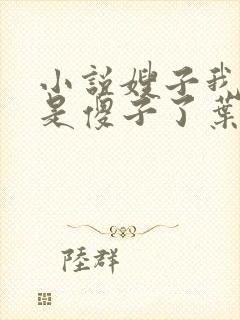 小说嫂子我真不是傻子了叶凡免费全集