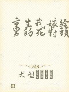 重生我嫁给了渣男的死对头免费阅读