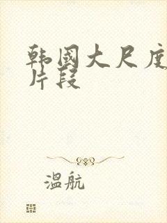 韩国大尺度床戏片段