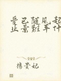 爱已随风起,风止意难平什么意思