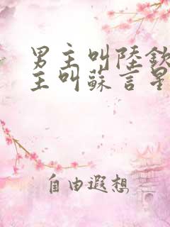 男主叫陆钦州女主叫苏言星的小说