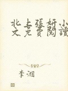 北上张妍小说全文免费阅读