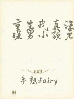 重生我真没想当暖男小说免费阅读