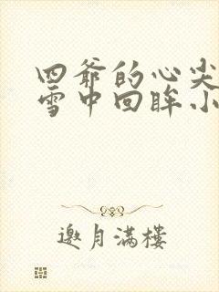 四爷的心尖宠妃雪中回眸小说免费完本