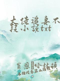 大佬追妻不择手段小说txt