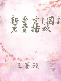 新哥完1国语版免费播放