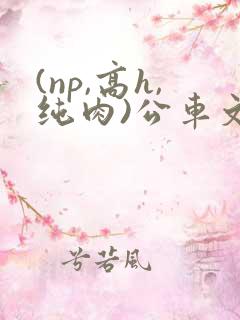 (np,高h,纯肉)公车文